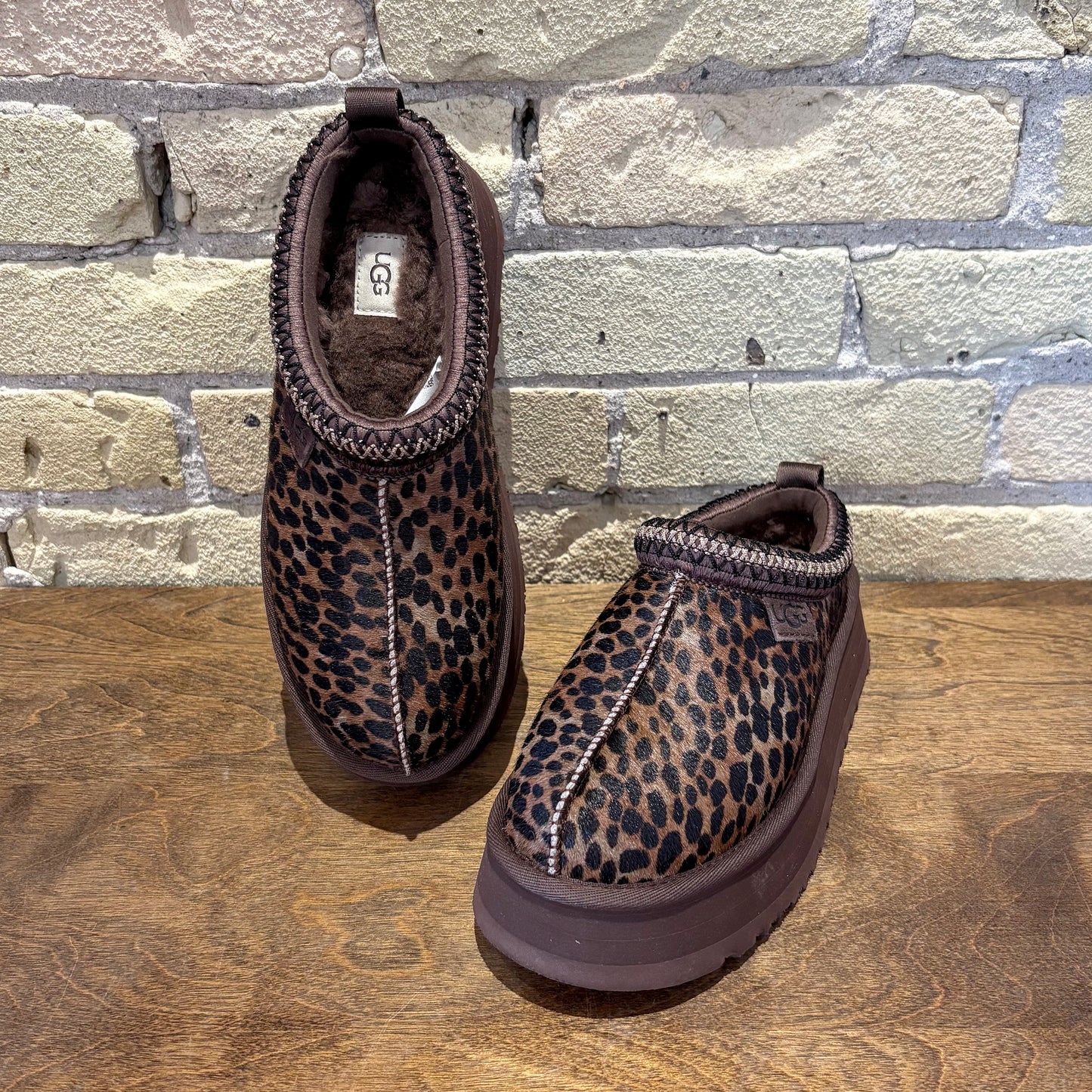 UGG Women's Tazz Caspian