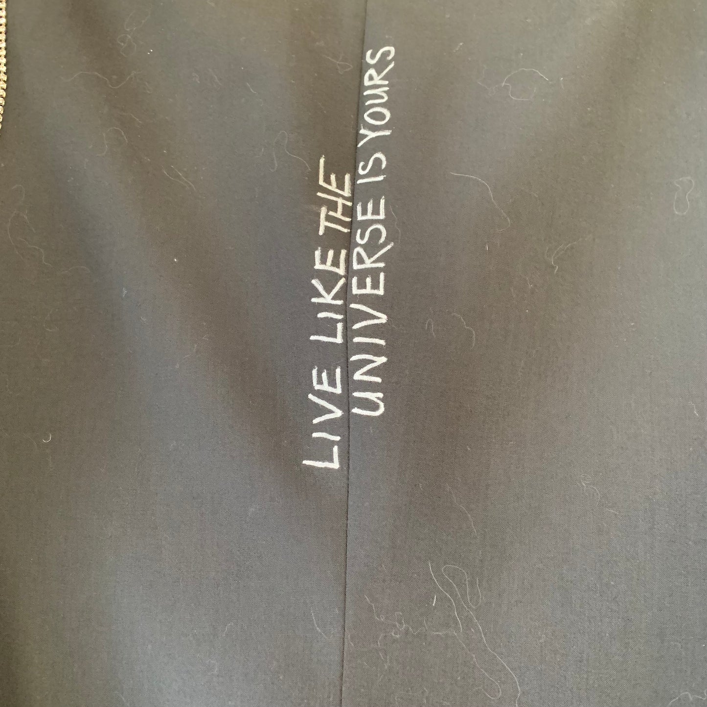 Gearhead Live Like the Universe Blazer