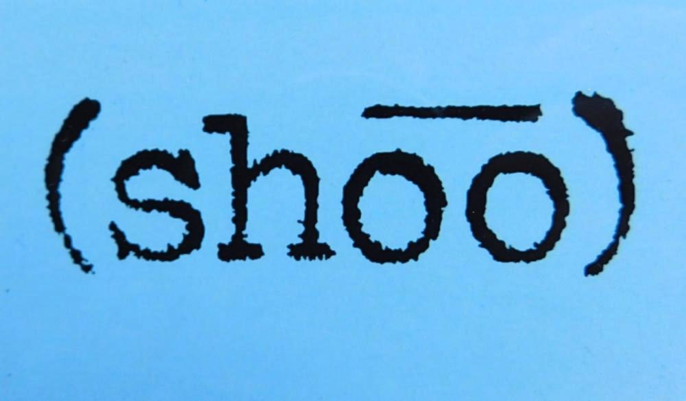 (shoo) Gift Card - Gift Card - shoostore - shoostore