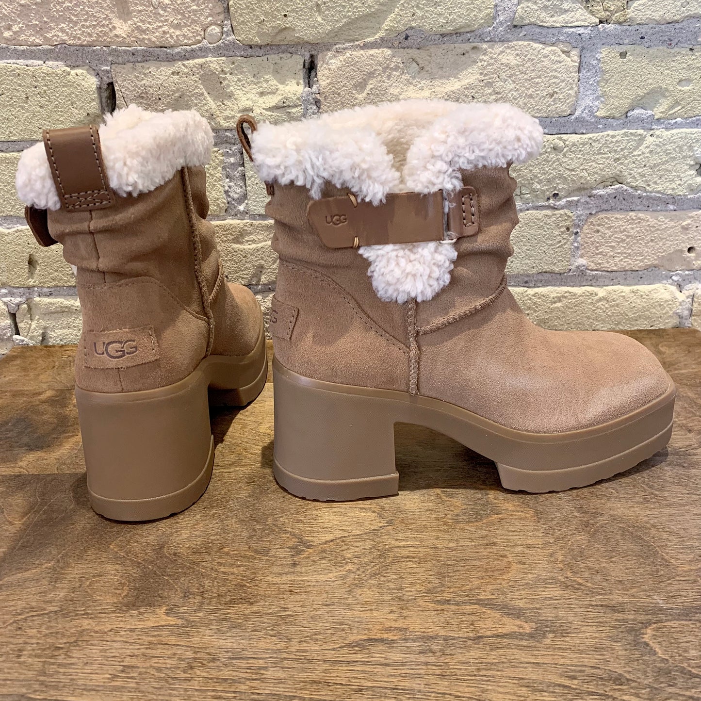 UGG Women's Moxy Chelsea Boot Shearling