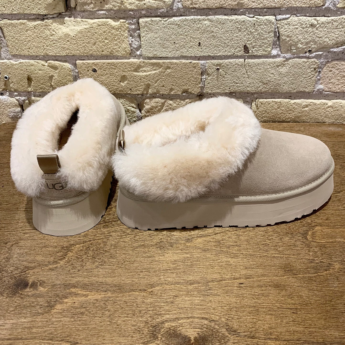 UGG Women's Tazzelle