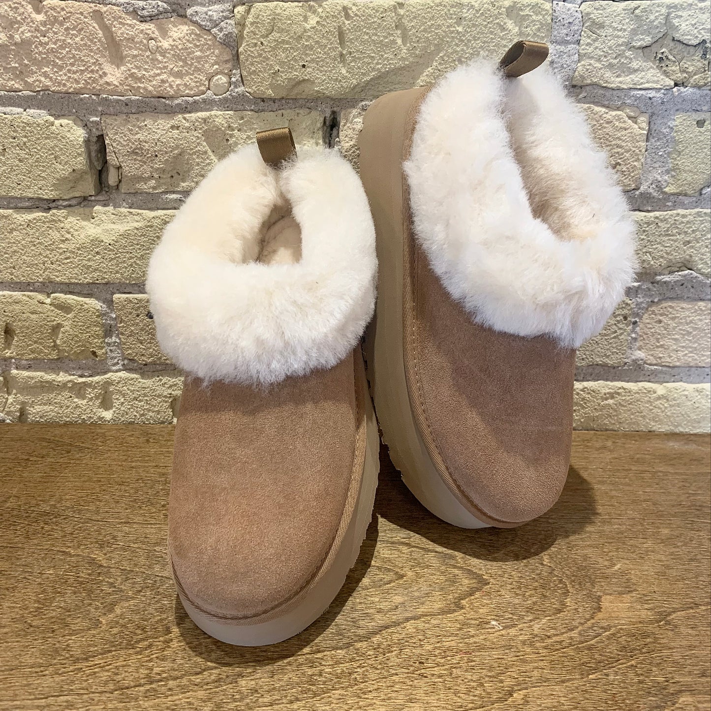 UGG Women's Tazzelle
