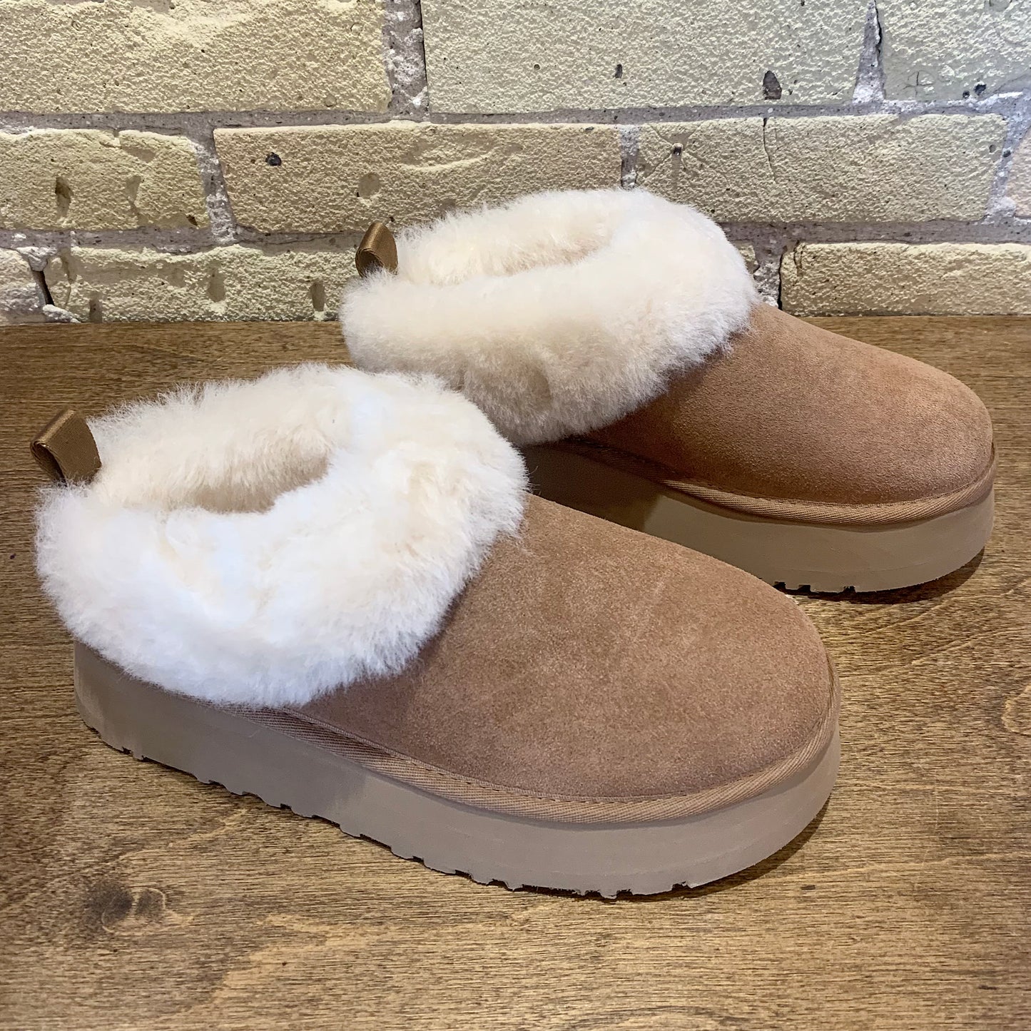 UGG Women's Tazzelle
