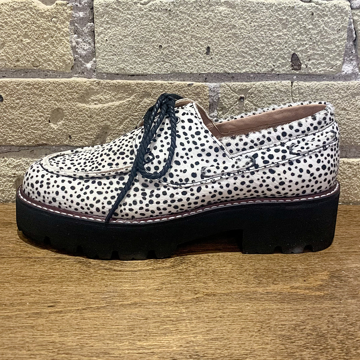 ALL BLACK Wild Mr Blucher
