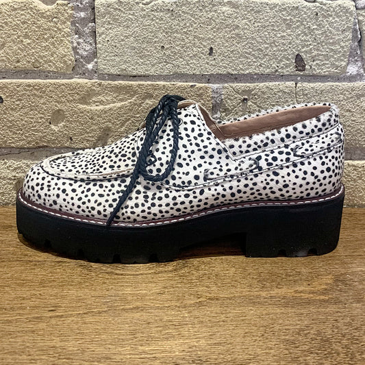 ALL BLACK Wild Mr Blucher