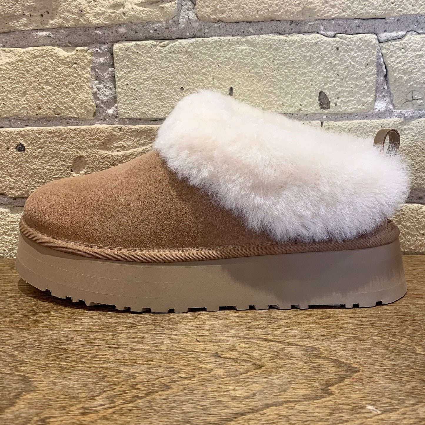 UGG Women's Tazzelle