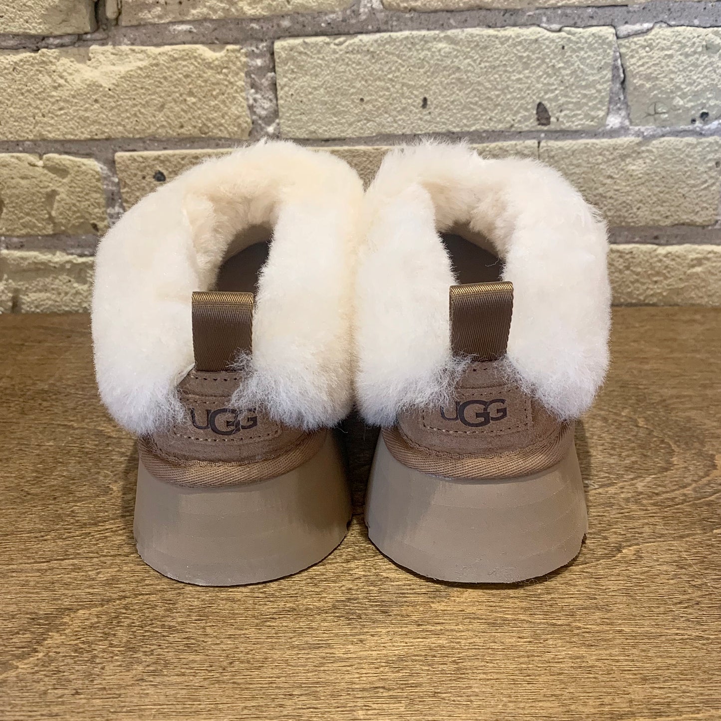 UGG Women's Tazzelle