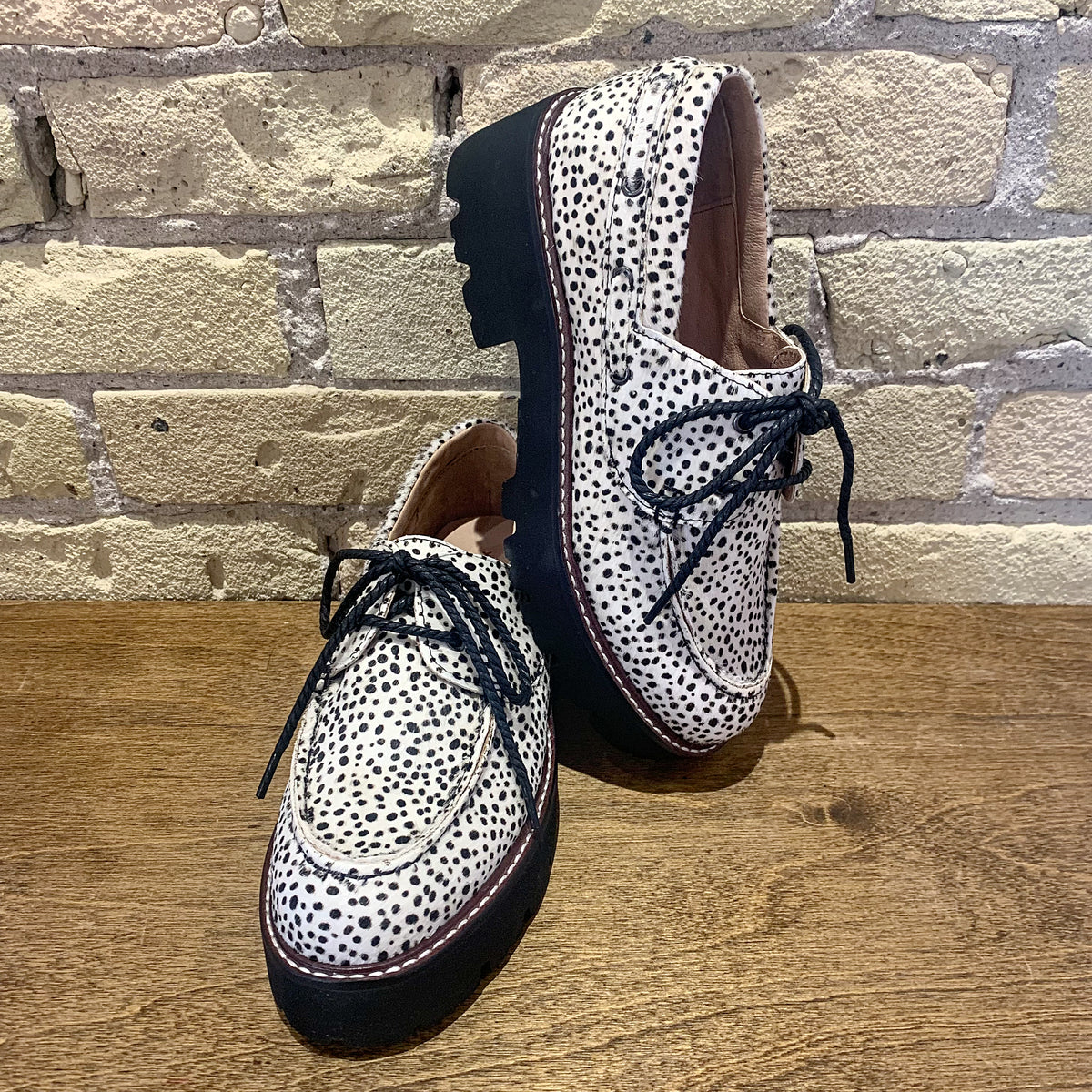 ALL BLACK Wild Mr Blucher