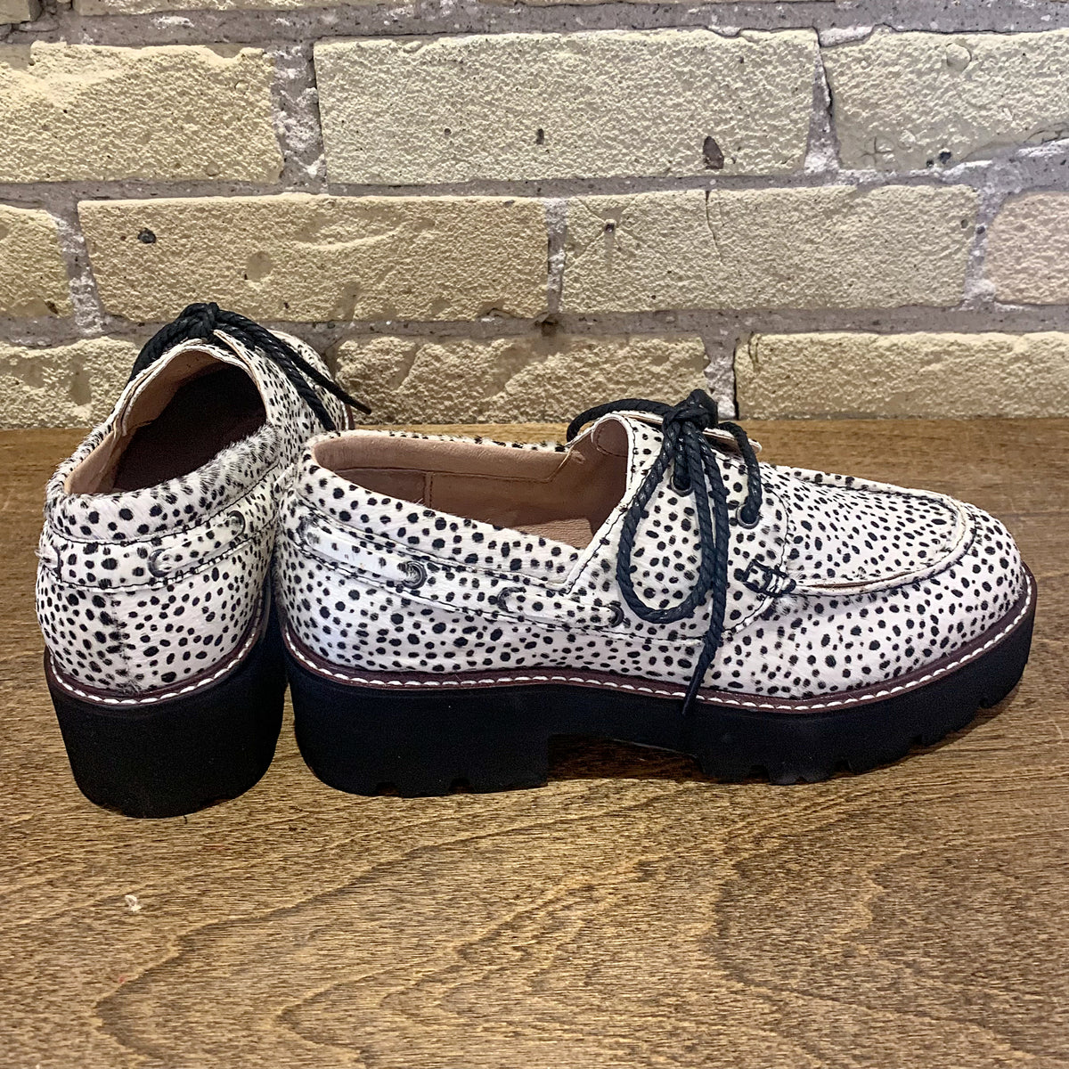 ALL BLACK Wild Mr Blucher